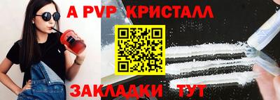 стафф Камышлов