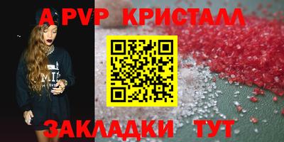 стафф Камышлов