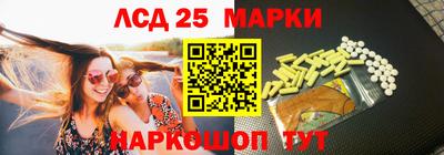 стафф Камышлов