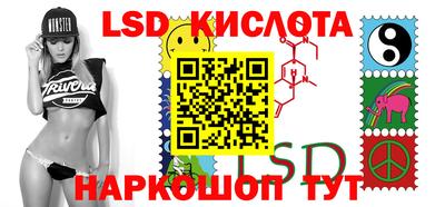 стафф Камышлов