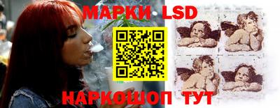 стафф Камышлов