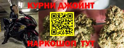 стафф Камышлов
